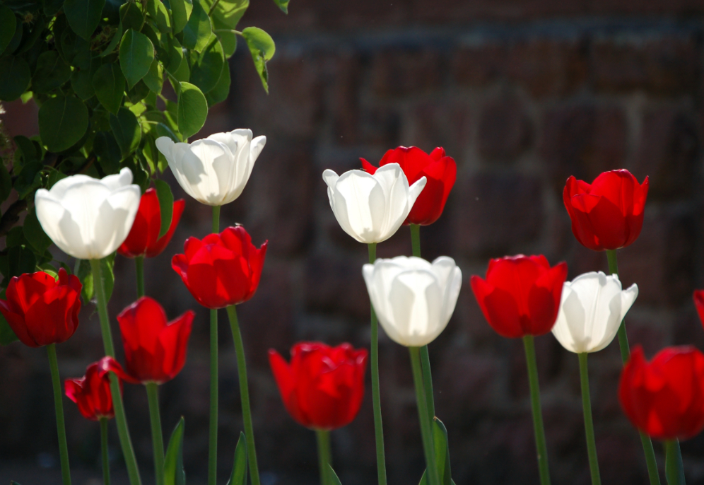 Willkommen bei colhoun.de